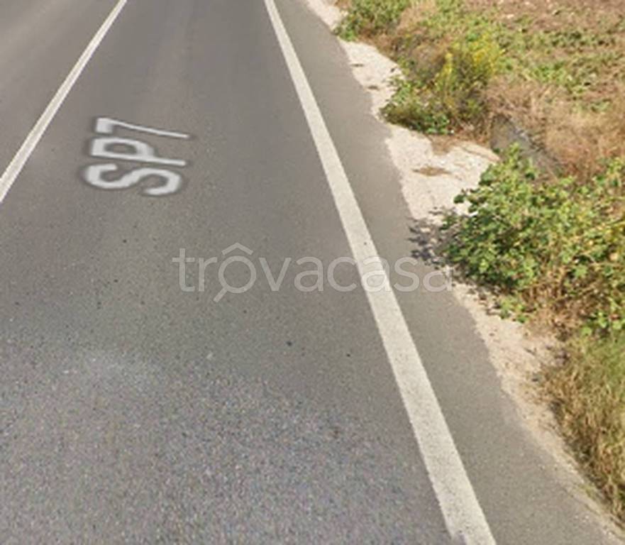 immagine annuncio 5 di 12