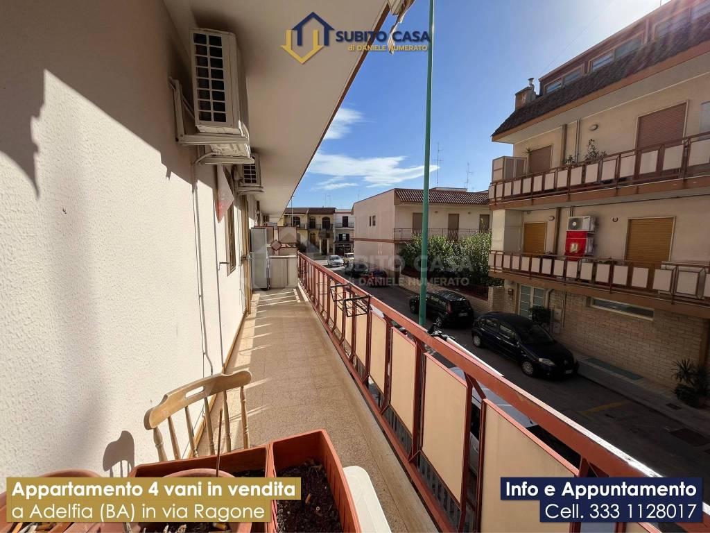 immagine annuncio 11 di 15