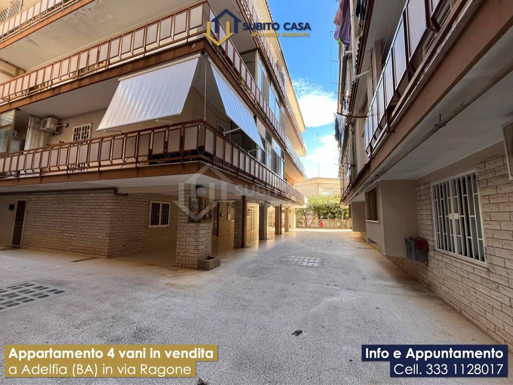 immagine annuncio 13 di 15