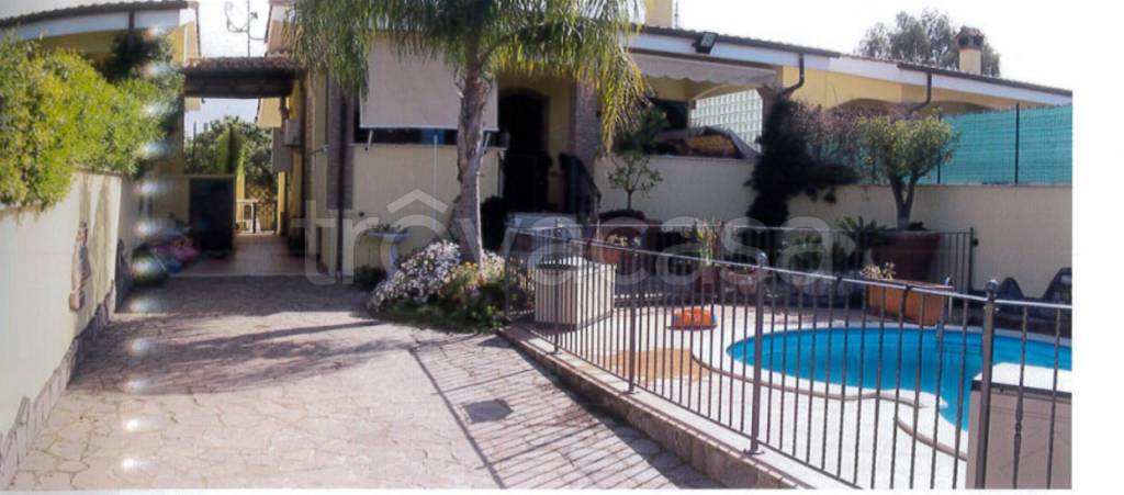 immagine annuncio 7 di 13