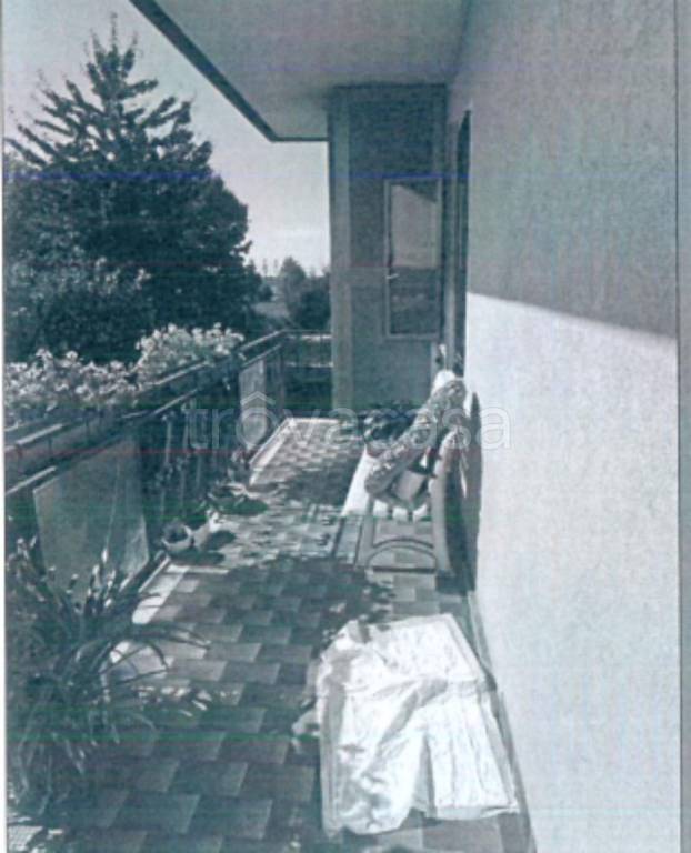 immagine annuncio 7 di 12