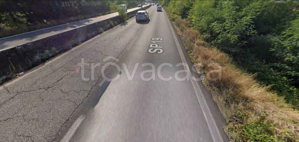 immagine annuncio 4 di 8