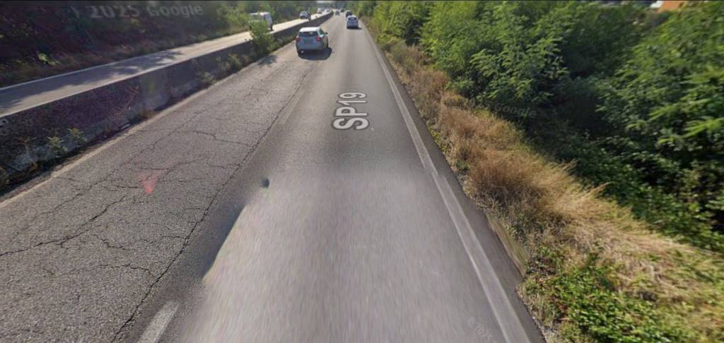 immagine annuncio 5 di 8