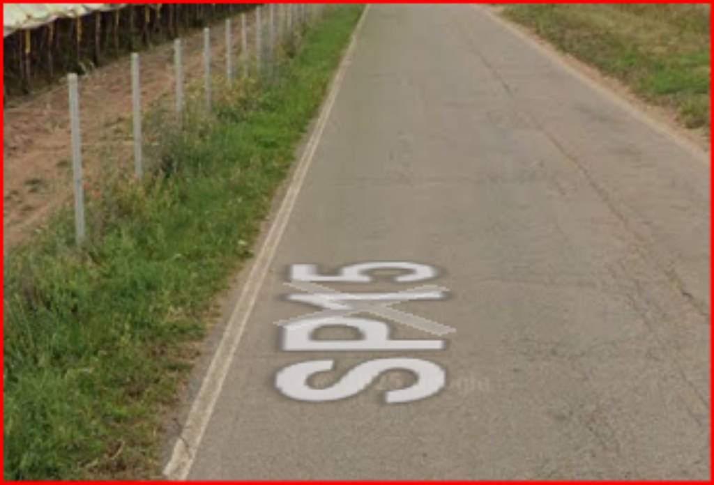 immagine annuncio 5 di 12