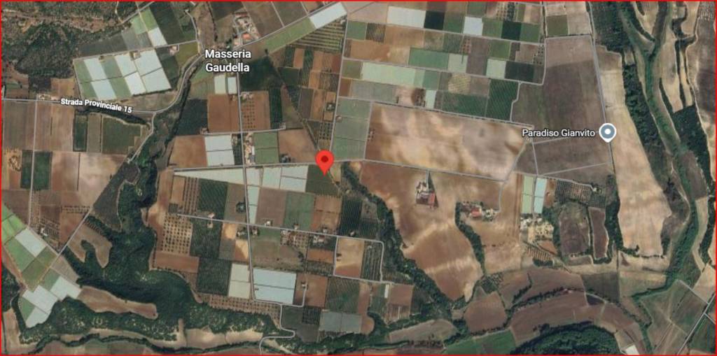 immagine annuncio 11 di 12