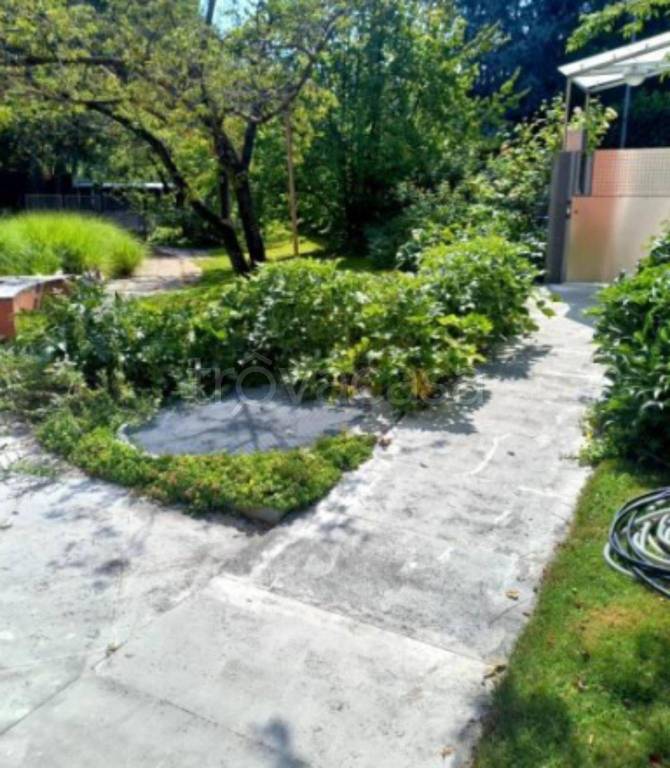 immagine annuncio 9 di 14