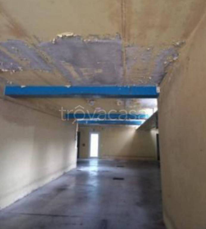 immagine annuncio 10 di 14