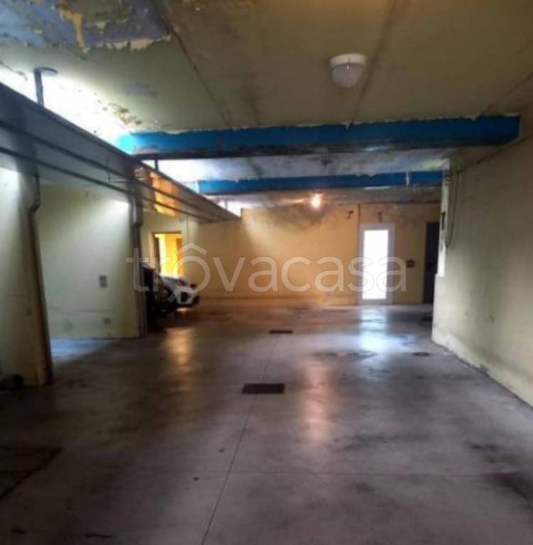 immagine annuncio 11 di 14