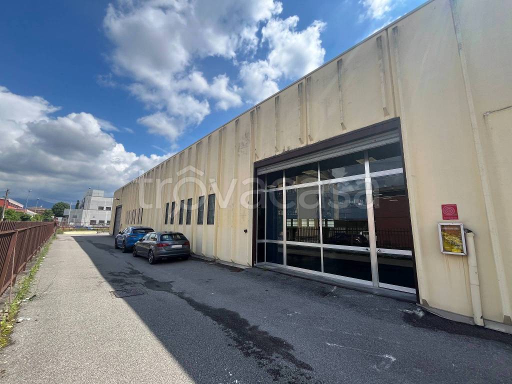 immagine annuncio 12 di 15