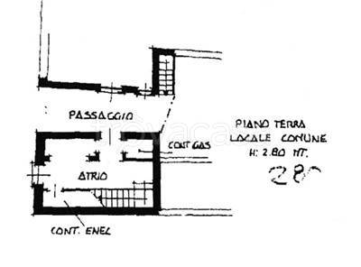 immagine annuncio 10 di 12