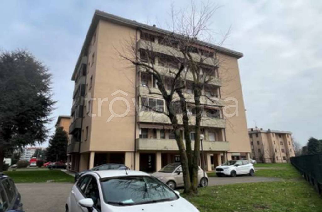 immagine annuncio 8 di 11