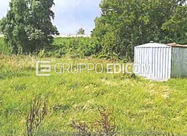 immagine annuncio 4 di 15