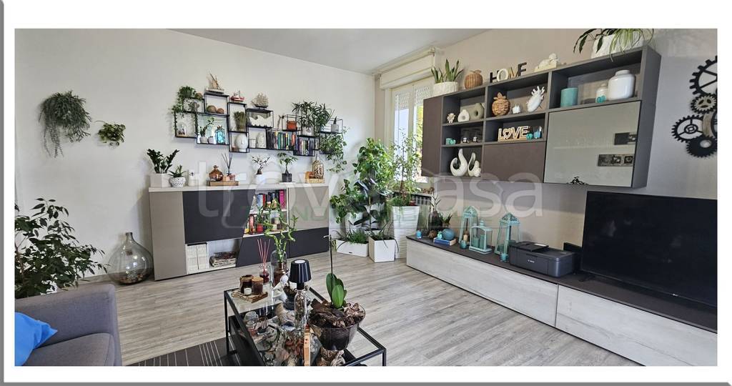 immagine annuncio 3 di 14