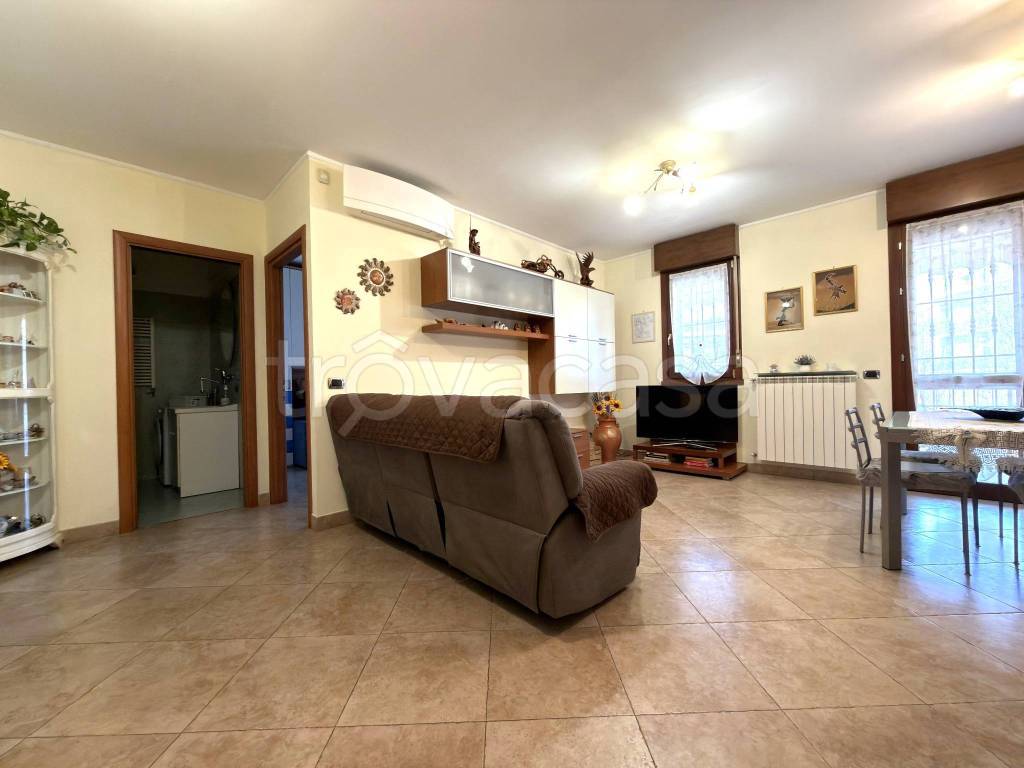 immagine annuncio 2 di 12