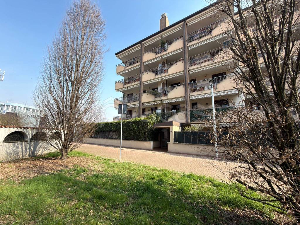 immagine annuncio 10 di 12