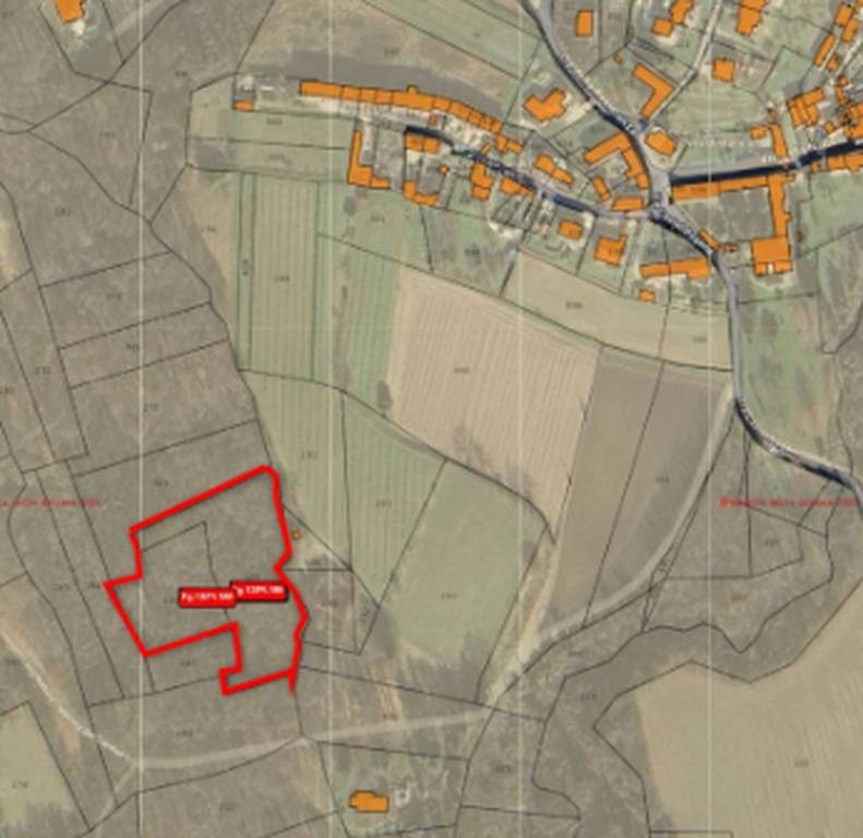 immagine annuncio 8 di 11