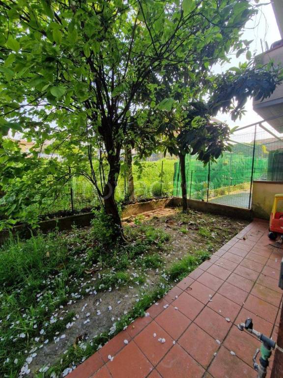 immagine annuncio 1 di 13