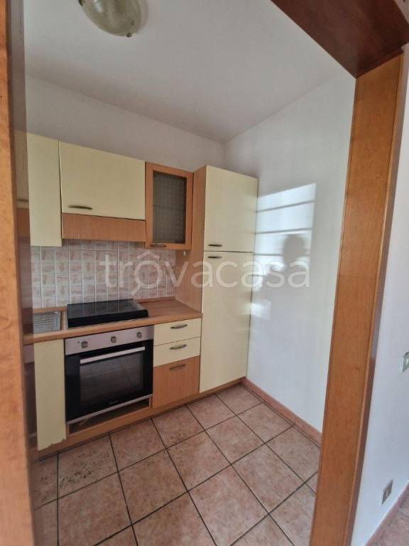 immagine annuncio 7 di 13