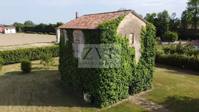 immagine annuncio 6 di 13