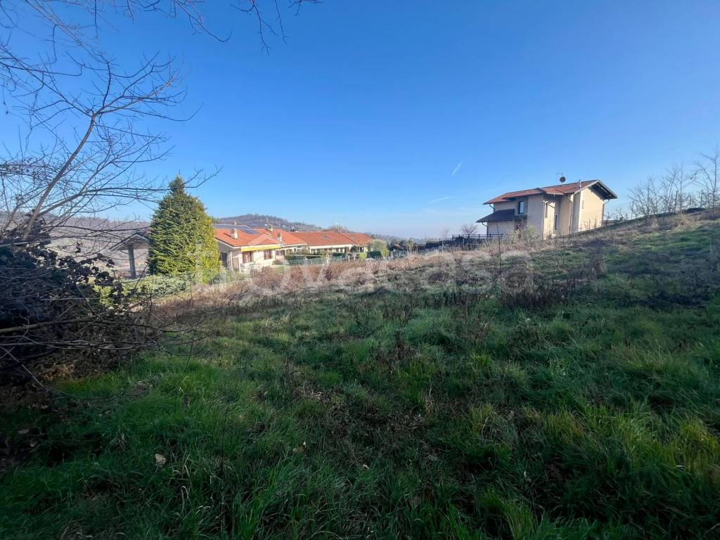 immagine annuncio 2 di 11