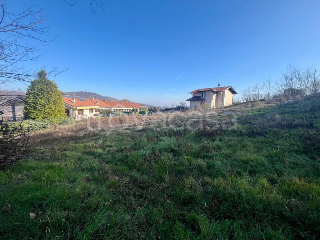 immagine annuncio 3 di 11