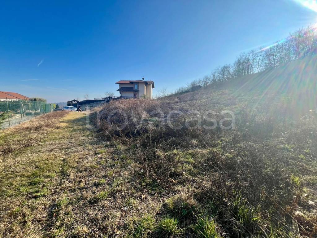 immagine annuncio 10 di 11