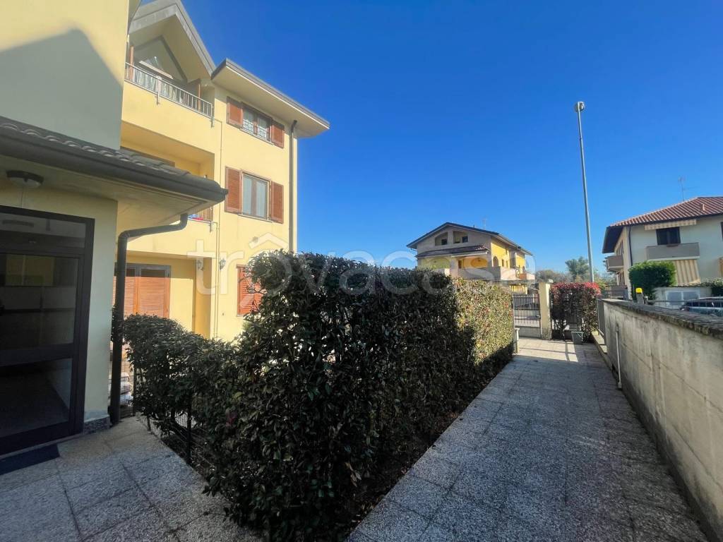 immagine annuncio 2 di 15