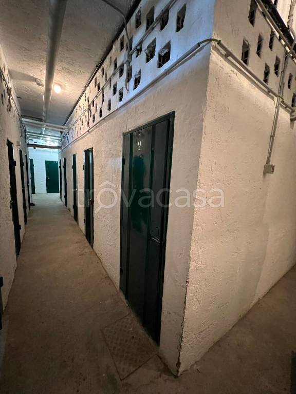 immagine annuncio 11 di 14