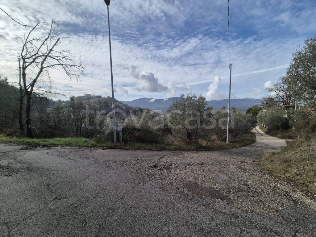 immagine annuncio 9 di 13