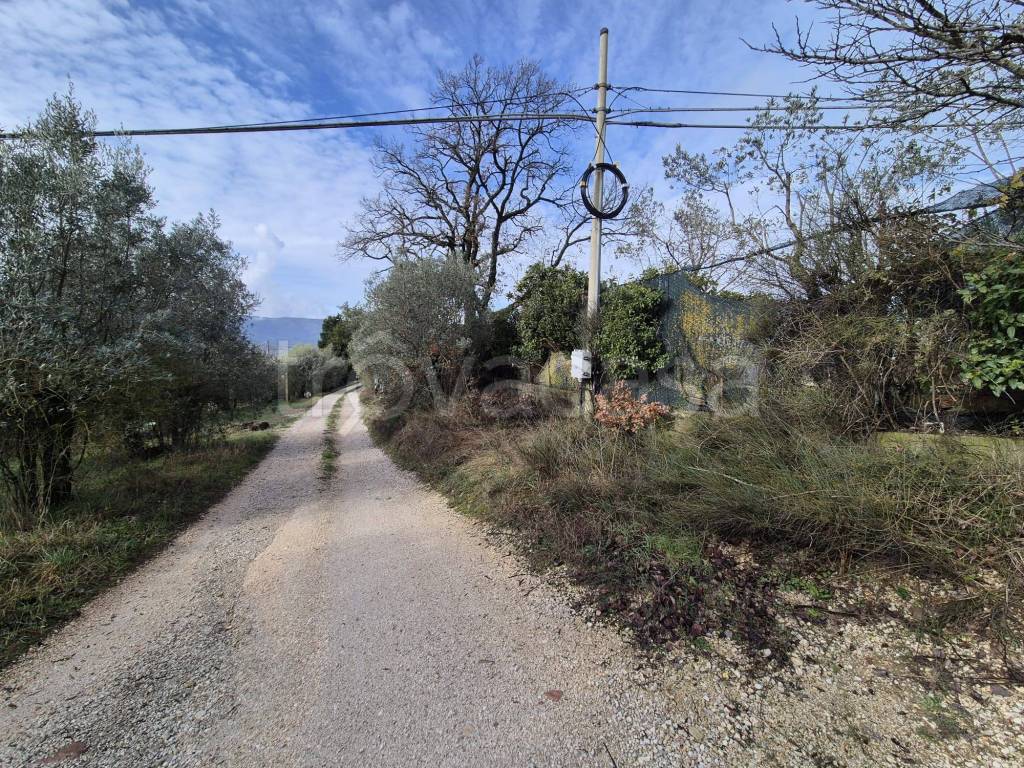 immagine annuncio 11 di 13