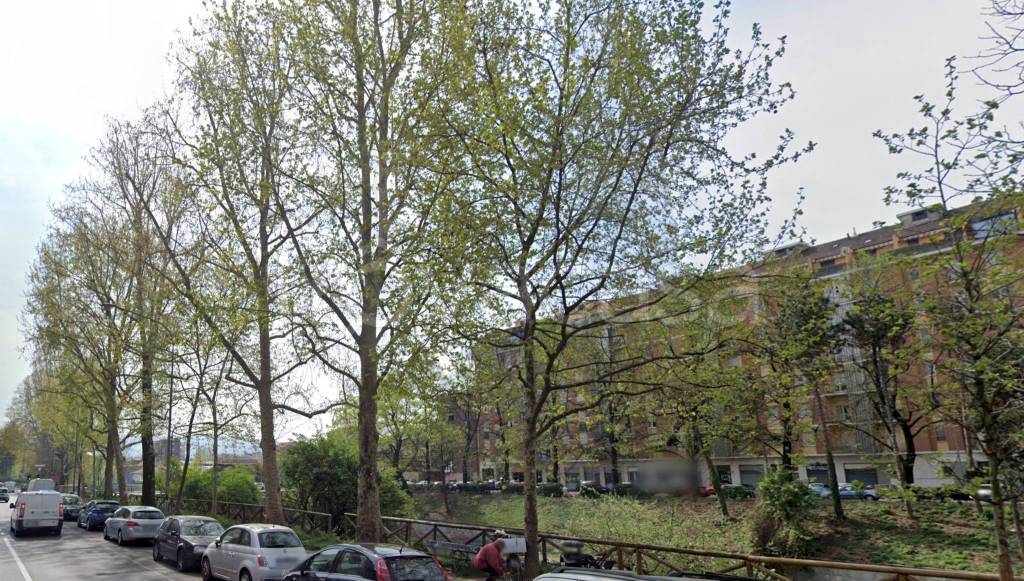 immagine annuncio 1 di 13