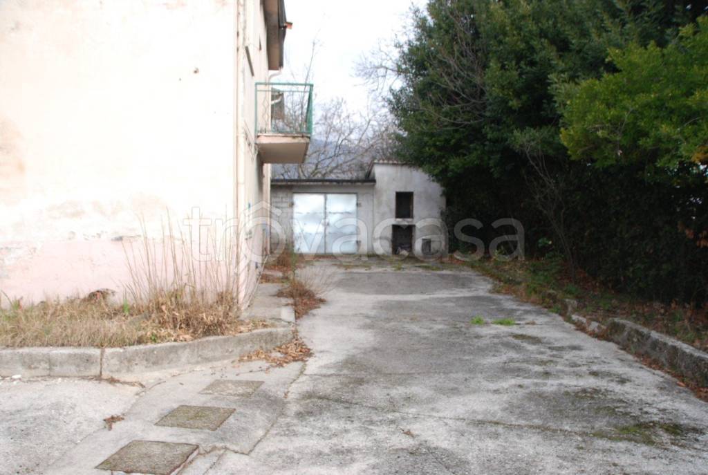 immagine annuncio 3 di 12