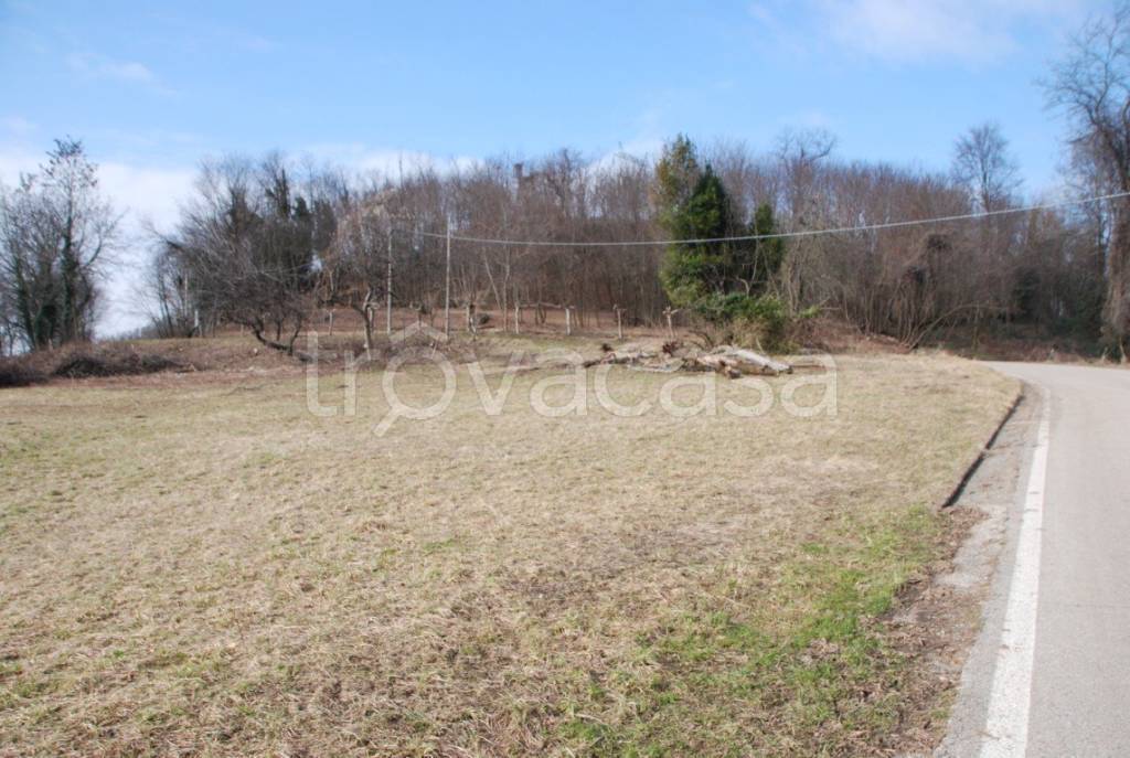 immagine annuncio 10 di 12