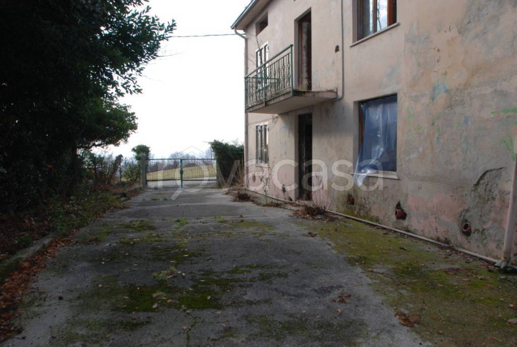 immagine annuncio 4 di 12