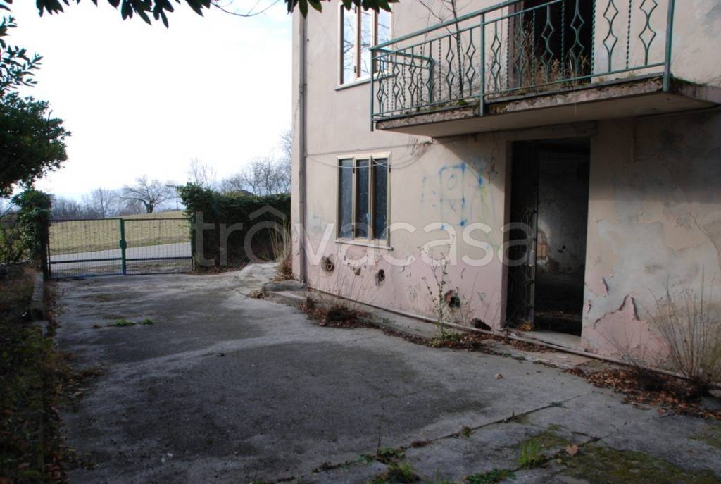 immagine annuncio 2 di 12