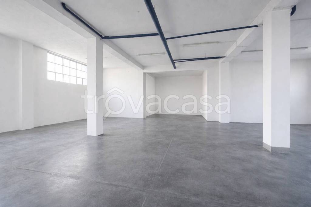 immagine annuncio 9 di 14