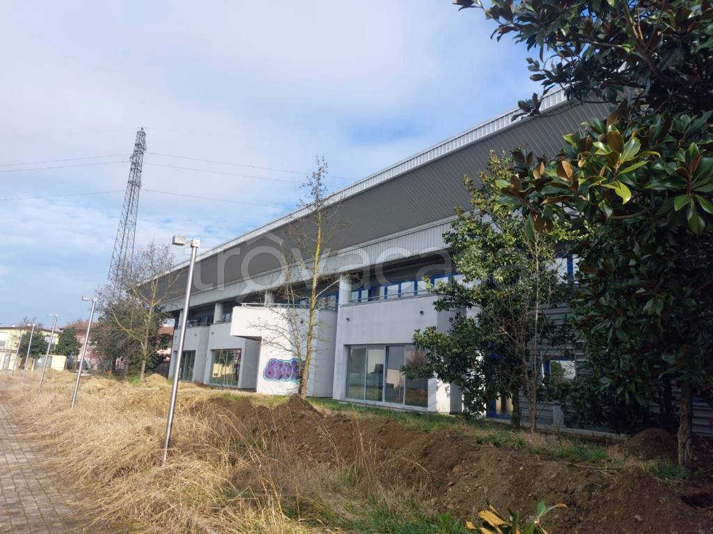 immagine annuncio 3 di 15