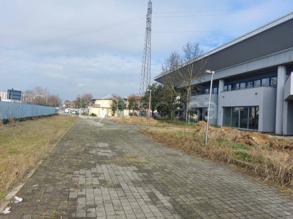 immagine annuncio 11 di 15