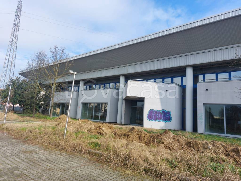 immagine annuncio 12 di 15