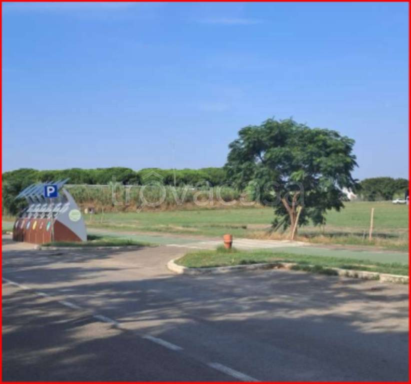 immagine annuncio 3 di 12