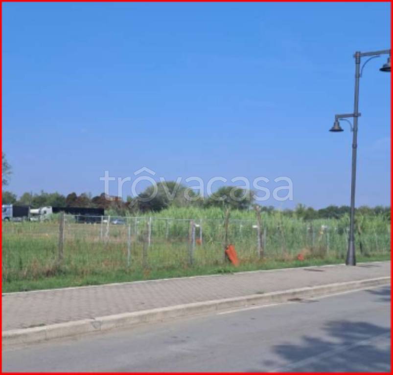 immagine annuncio 6 di 12