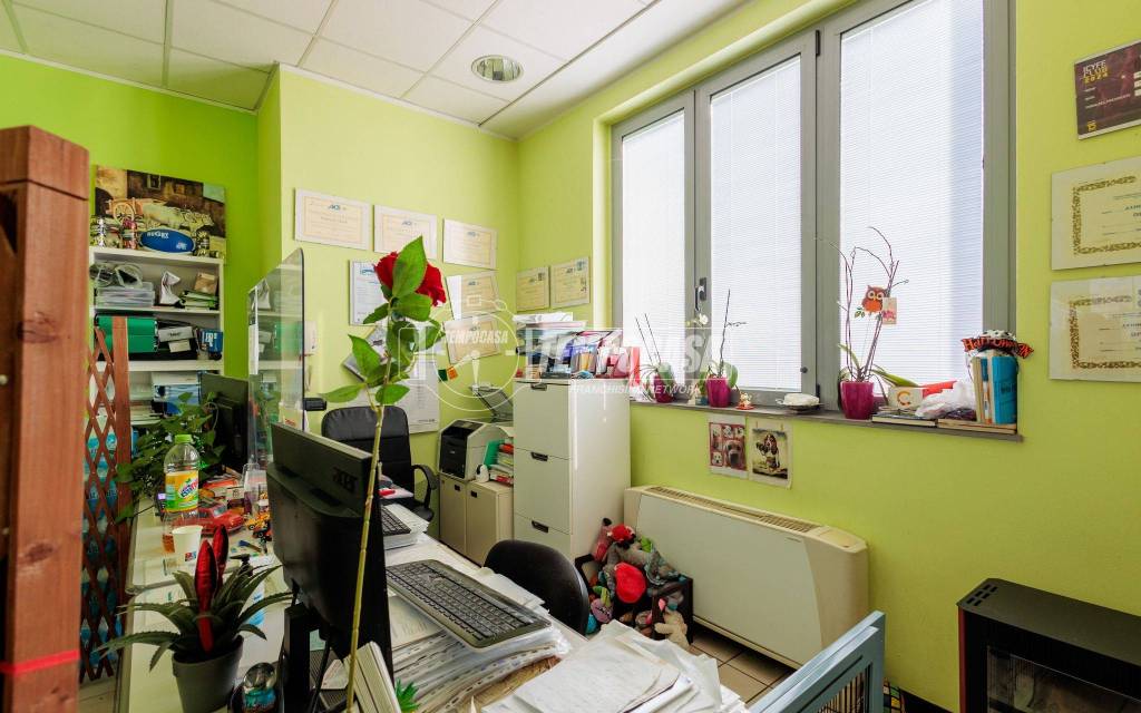 immagine annuncio 5 di 15