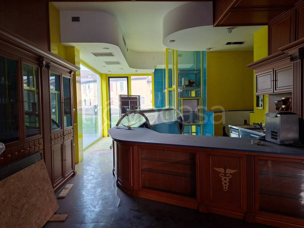 immagine annuncio 5 di 15