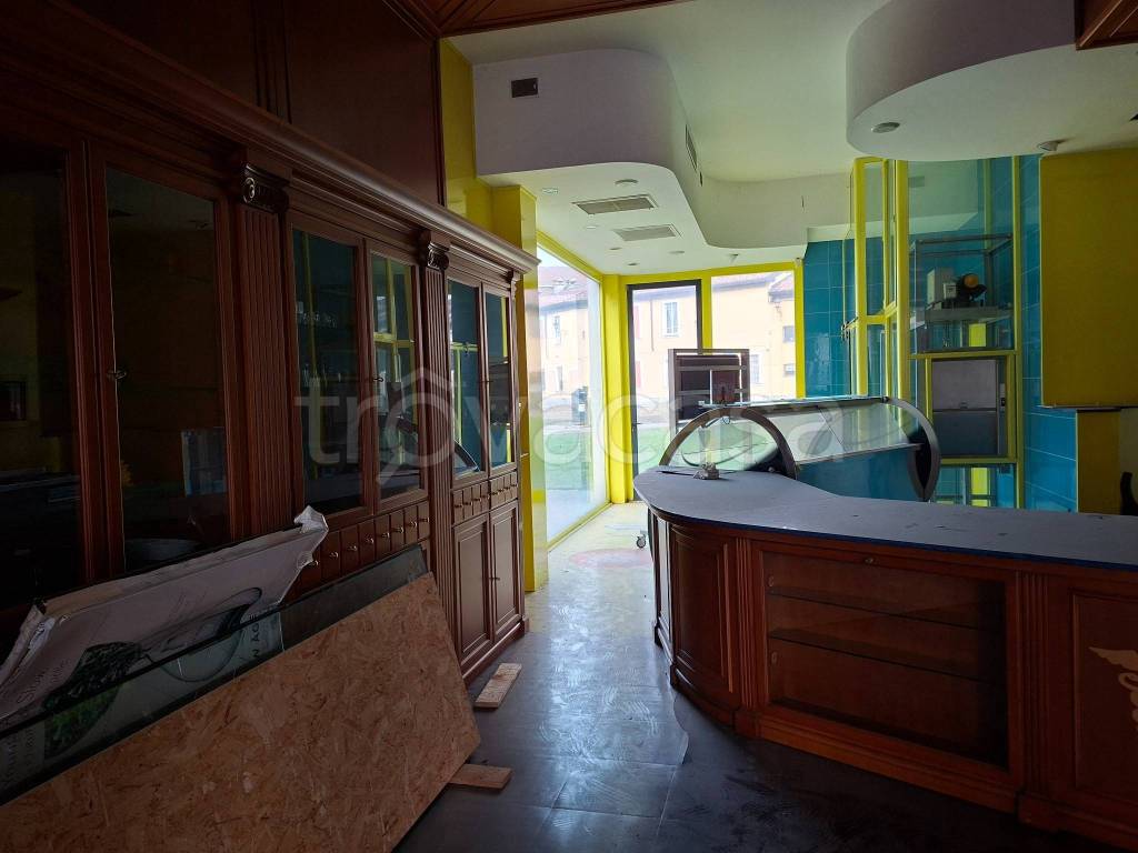 immagine annuncio 6 di 15