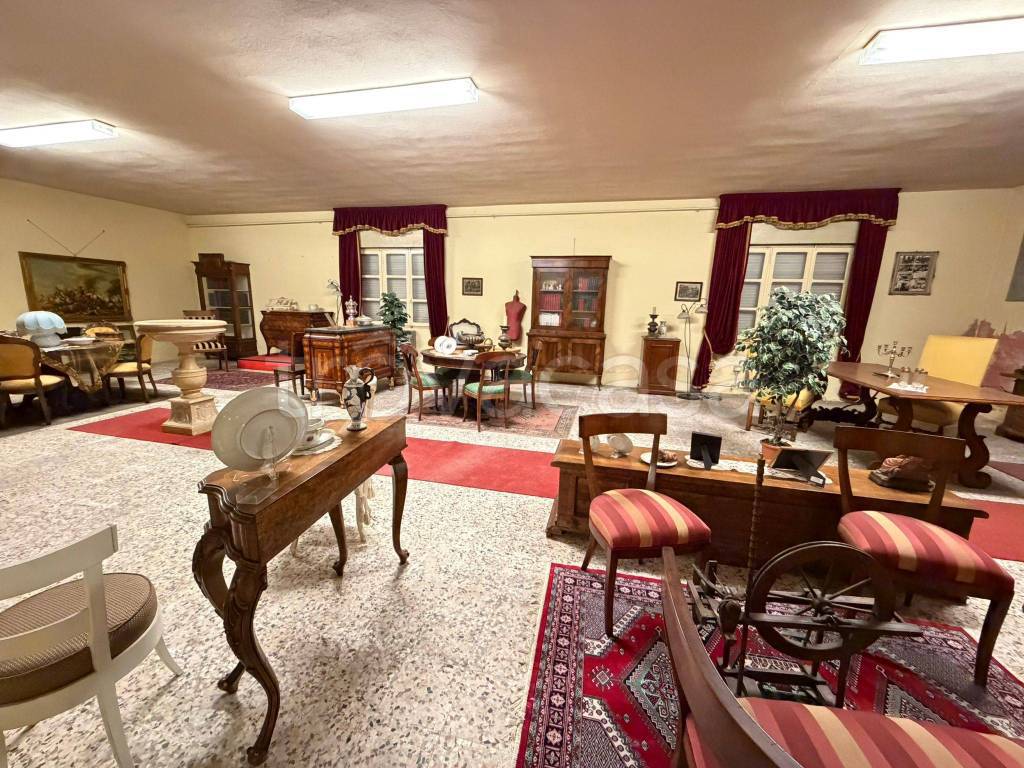 immagine annuncio 11 di 15