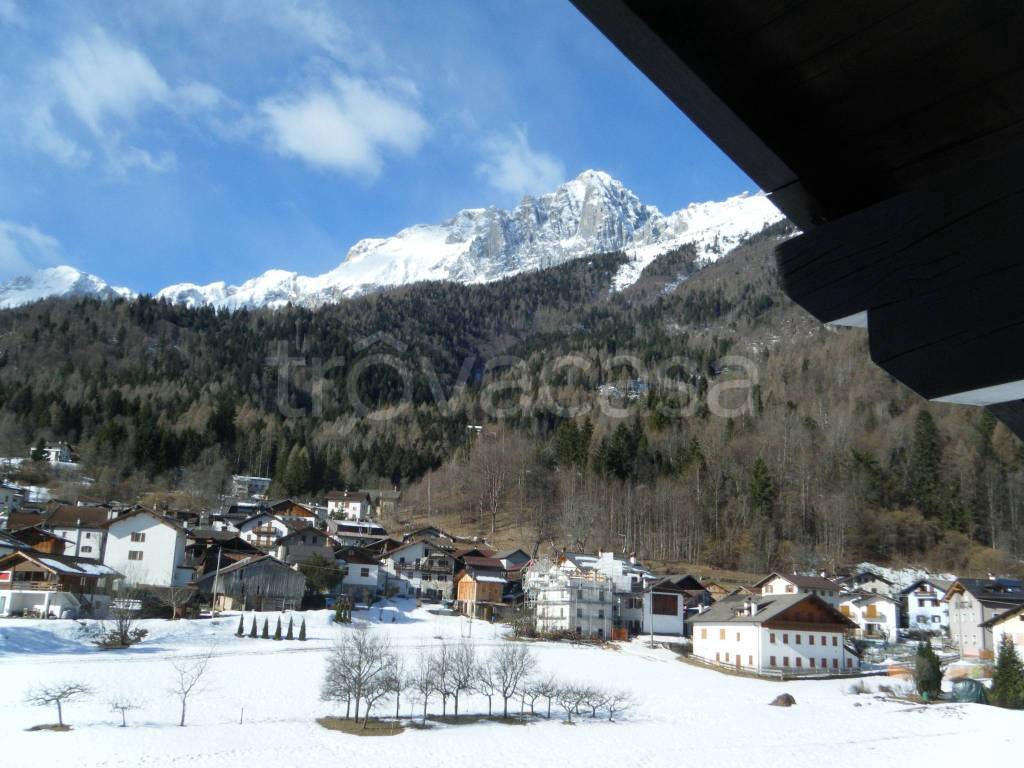 immagine annuncio 12 di 13