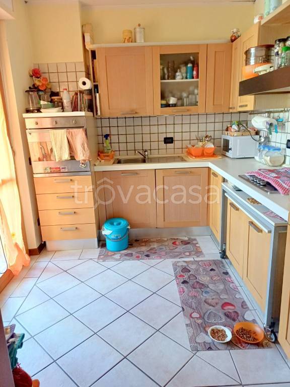 immagine annuncio 7 di 15