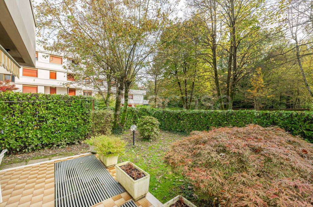 immagine annuncio 6 di 14