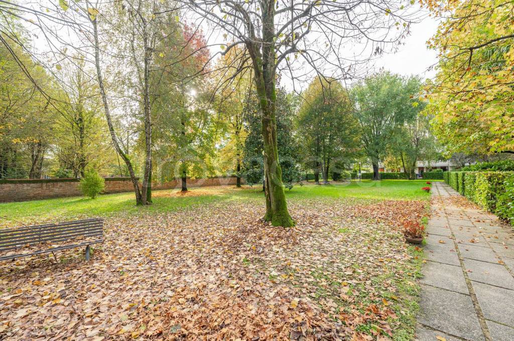 immagine annuncio 12 di 14