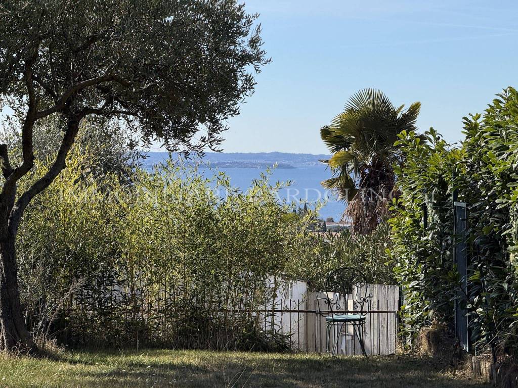 immagine annuncio 4 di 12